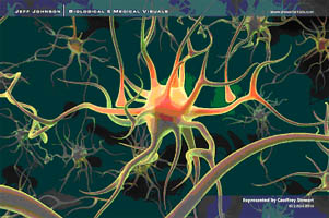 Neuroni u ivanim sustavima
